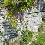 La Bouganvilla