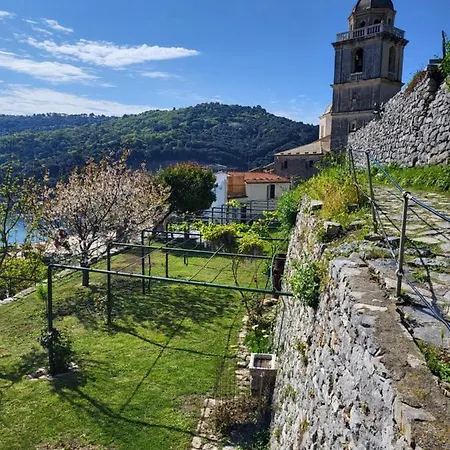 La Bouganvilla *