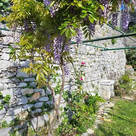 La Bouganvilla
