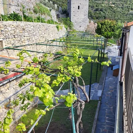 La Bouganvilla