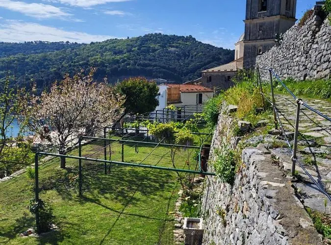 La Bouganvilla *