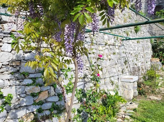 La Bouganvilla