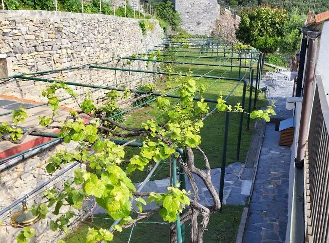 La Bouganvilla